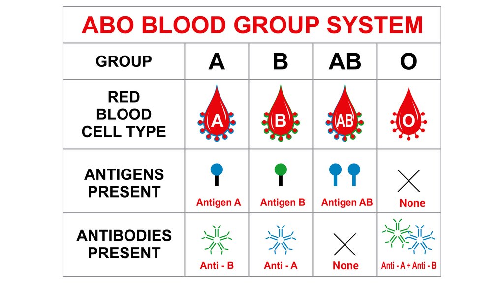 Do you need to know your own blood group? - Health Service Navigator